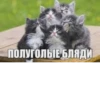 Больше стикеров тYт➡️ 19