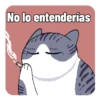 Michis y animales 2022 14