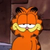 Garfield y sus caras🧡🐱✨ 10