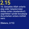 2 Bakara Suresi Meali (1-30) 26