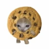 кошачья еда 10