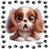 Perritos Tiernos ✺5🇻🇪 12