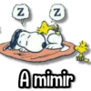 Snoopy Frases🩷💙 11