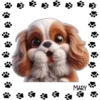 Perritos Tiernos ✺5🇻🇪 13