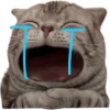 Gatitos llorones🥺😿 10
