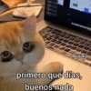 Memes Respuestas 2 12
