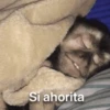 Si ahorita