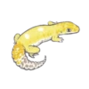 Smile Gekko 22