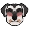 Oscar 9