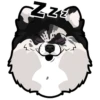 Ziti 7
