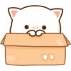 Peach Goma CAJA ❤️ 15