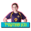 אליצורה 14