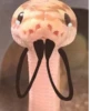 Snake Doodles 16