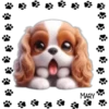 Perritos Tiernos ✺5🇻🇪 15