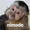 nimodo
