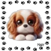 Perritos Tiernos ✺5🇻🇪 16