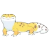 Smile Gekko 26