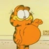 Garfield y sus caras🧡🐱✨ 12