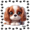 Perritos Tiernos ✺5🇻🇪 17