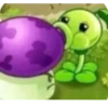PvZ memes (by ) 28