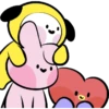 amigos bt21 13