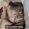 Ya no kiero nada
