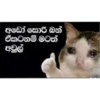 Smile in Pain Stickers (English & Sinhala) - #2 🎭 28