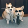 OUxtaEt_by_achestickbot 28