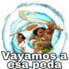 Moana 29