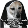 📮MEMES para ti 16📩 24