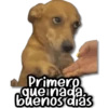 Michis & Perros #1 😹🐶 13