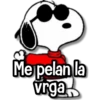 Snoopy Frases🩷💙 16