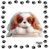 Perritos Tiernos ✺5🇻🇪 20
