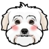 Arbie 10
