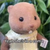 Sylvanian Drama 1 16