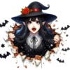 Halloween 🎃🦇👻🦇 Spooky 18