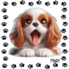 Perritos Tiernos ✺5🇻🇪 24