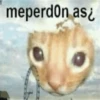 Gatitos llorones🥺😿 15
