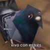 Memes Respuestas 2 15