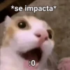 *se impacta* :0