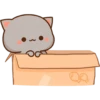 Peach Goma CAJA ❤️ 18
