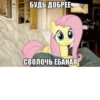 OlpIGfd_by_achestickbot 8