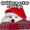 Perritos Navideños 5