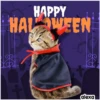 Disfraz 🎃🐾 HALLOWEEN 6