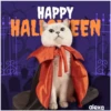 Disfraz 🎃🐾 HALLOWEEN 7