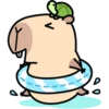 Pipi Capybara 3 7