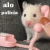 Hamster Random 🐹 7