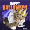 Disfraz 🎃🐾 HALLOWEEN 9