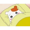 Hamster 8