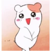 Hamster 9